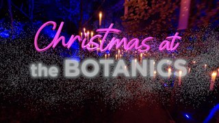 Christmas At The Botanics 2024 returns with brand new dazzling light trail