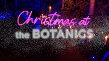 Christmas At The Botanics 2024 returns with brand new dazzling light trail