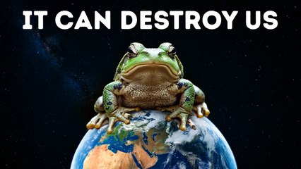 The Cane Toad: The Invasive Species Threatening Our Ecosystems 🐸