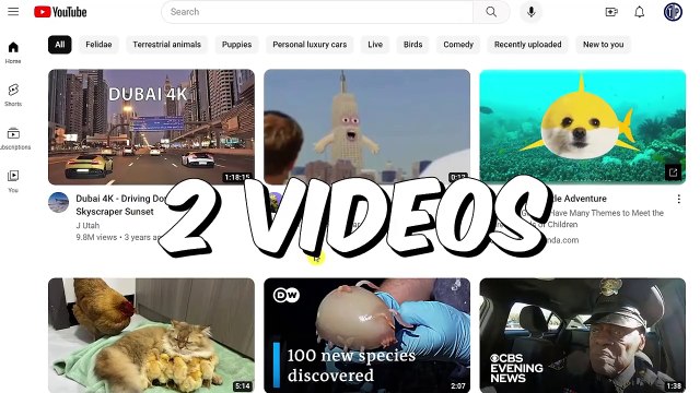 Earn $2.00 PER YOUTUBE VIDEO Watched - Make Money Online