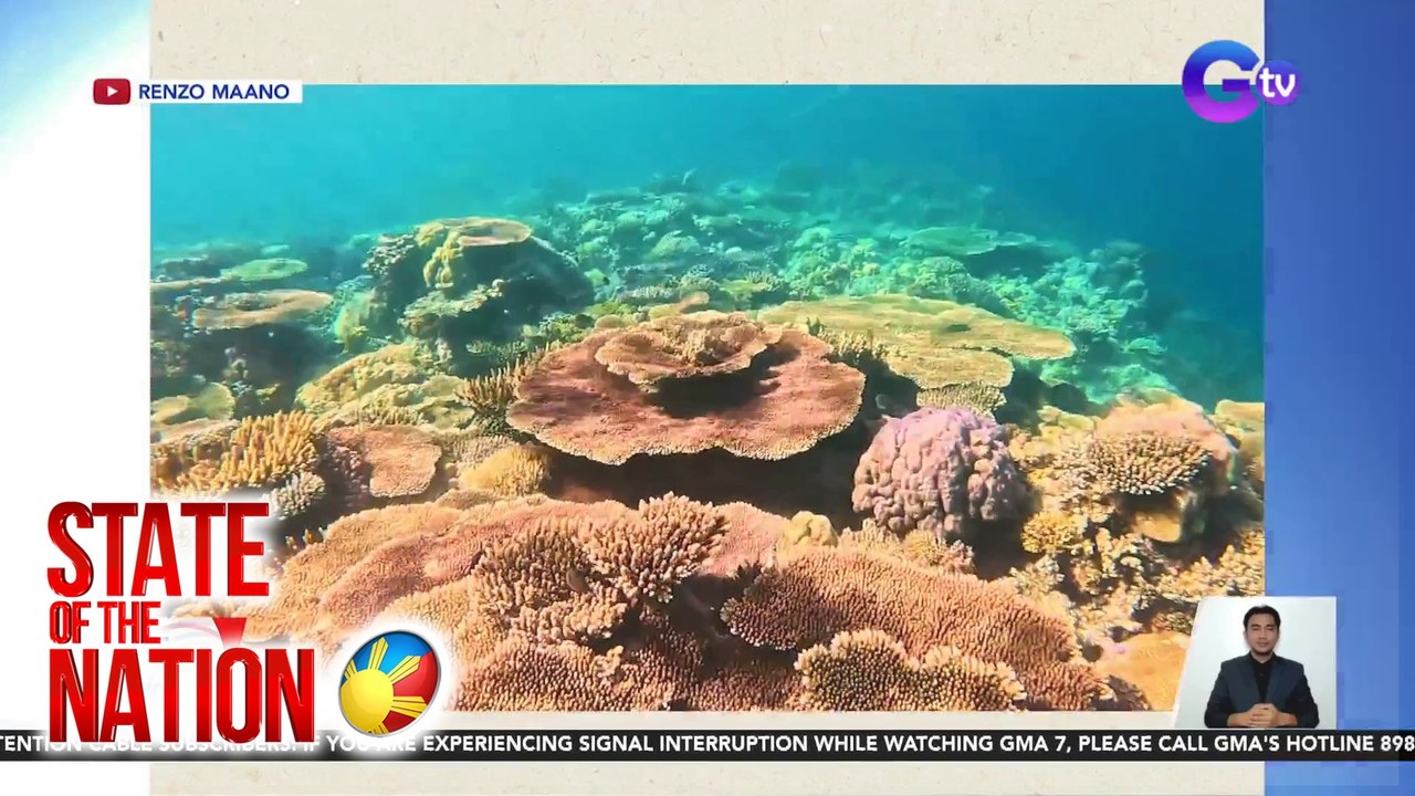 Diving sa Apo Reef na 2nd largest coral reef sa...