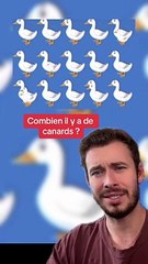 Combien de canards ? (Exclu Dailymotion)