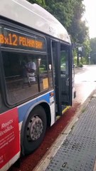 BUSES @ WILLIAMSBRIDGE RD & PELHAM PKWY