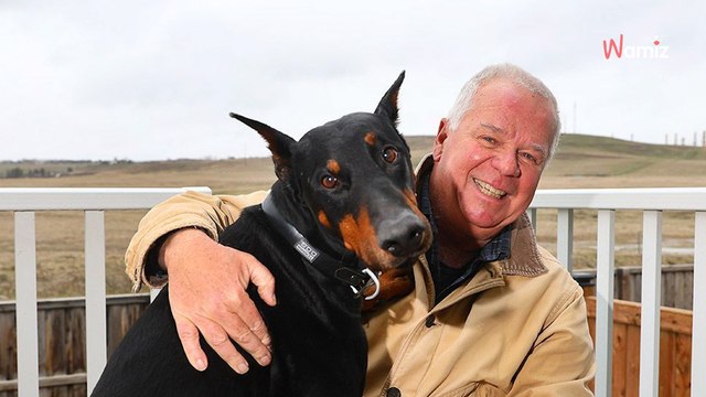 Il fait une randonnée avec son chien : la sortie tourne au cauchemar quand 3 boules noires lui foncent dessus