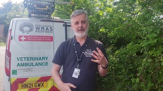 Behind the scenes at East Sussex wildlife rescue WRAS