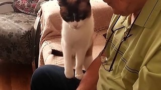 Adorable Grandpa and Cat Pat Each Other