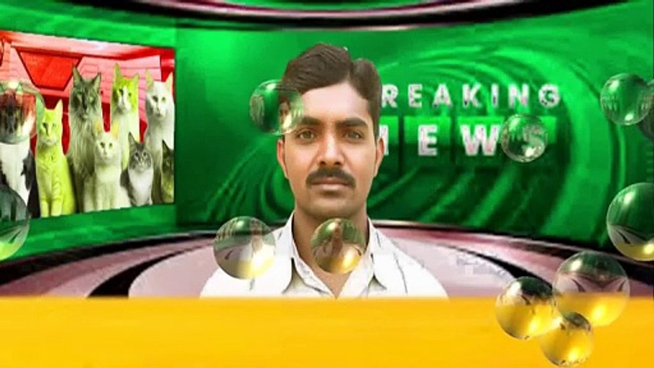 Funny News Video Clip  English