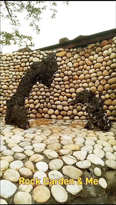 Rock Garden