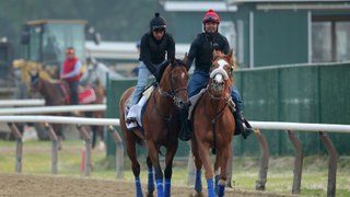 Belmont Stakes 2024: Tech & VIP Trends in Horse Betting