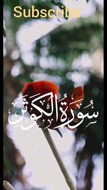 Islamic Guidance: Quranic Insights and Wisdom"