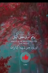 #Beautiful #voice #quran ||Hafiz Sab