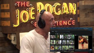 Episode 2159 Sal Vulcano - The Joe Rogan Experience Video - Episode latest update