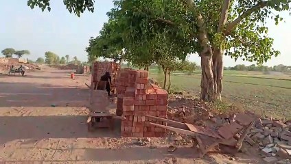 تمام بھائی پنجاب کی خوبصورتی لازمی دیکھے