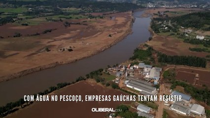 Empresas Gaúchas Enfrentam Desafios Após as Piores Cheias da História 🌊