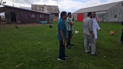 Village  in America 2024 Vlog - Mufti tariq masood