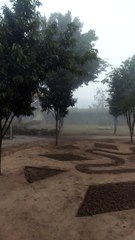 too cold #shorts #viral #trending #foryou #tiktok #delicious #gaming #reels#dailymotion #France #Pakistan #Algeria #India #USA #Iran #entertainment #tour #fun