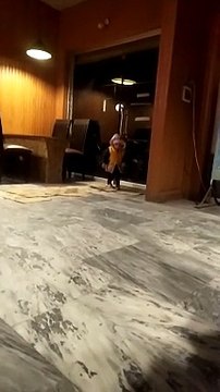 hammering around #shorts #viral #trending #foryou #tiktok #delicious #gaming #reels#dailymotion #France #Pakistan #Algeria #India #USA #Iran #entertainment #tour #fun