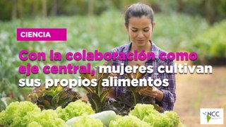 Con la colaboración como eje central, mujeres cultivan sus propios alimentos