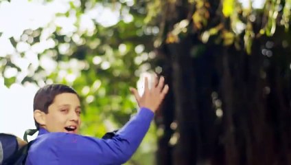 The Educators S.R.A - M.T.Z - T.S. C Campuses Multan