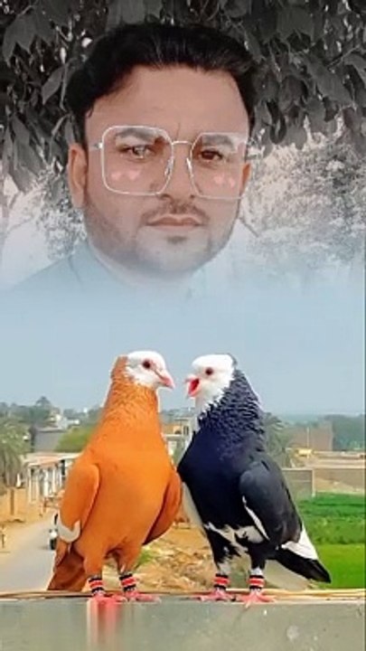 lv_very #nice_viral