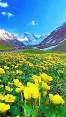 Sufiyana Kalam ❤️♥️