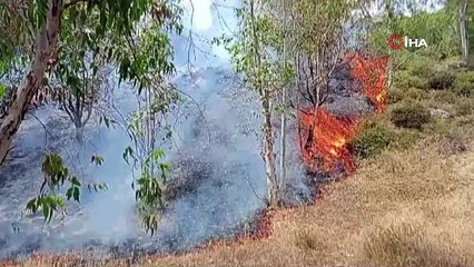 Valilik duyurdu! Ormanlık alana giriş yasağı