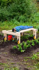 New ideas of farming ..Best technique's of farming