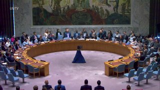 Conselho de Segurança decide retirar missão da ONU no Iraque até final de 2025