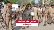 شرطي بطلاً في الهند بسبب قرد