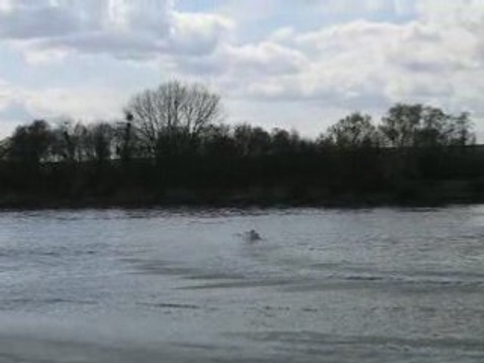 MVI_2053