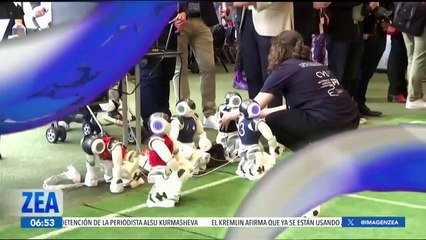 Robots participan en la Cumbre Mundial AI for Good en Ginebra