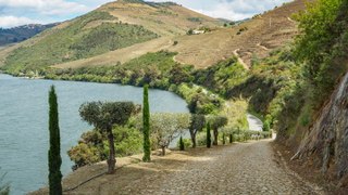 This Stunning Region in Portugal Is a Wine Lover's Dream — With Historic Train Rides, Scenic Boat Tours, and Luxury Hotels