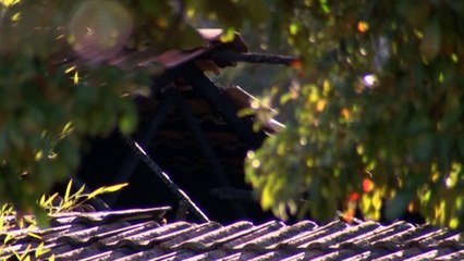 Canberra man behind bars charged with murder and arson for Holt house fire