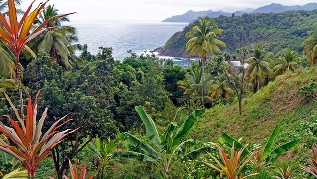 The Caribbean's 'Nature Island' Has Rain Forests, Luxury Hotels, and a Rich Creole Culture