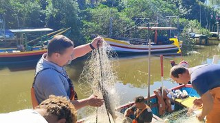 Tainhas começam a aparecer nas praias central e de Itajuba em Barra Velha