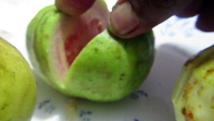 HOW TO DIFFERENTIATE BETWEEN WHITE GUAVA AND RED GUAVA AND TASTE TEST