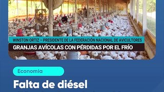 Falta de diésel dificulta la calefacción de granjas