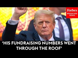 Why Donald Trump's Conviction Will Not Impact Presidential Race: Democratic Strategist