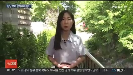 Скачать видео: 강남 오피스텔 모녀 살해 60대 검거…