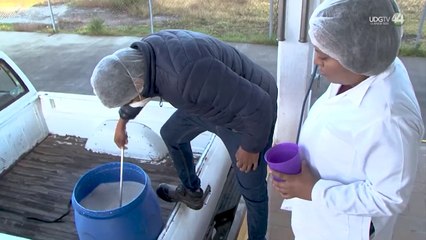 Importación de quesos de EEUU y Canadá agrava la crisis del sector lechero en Jalisco