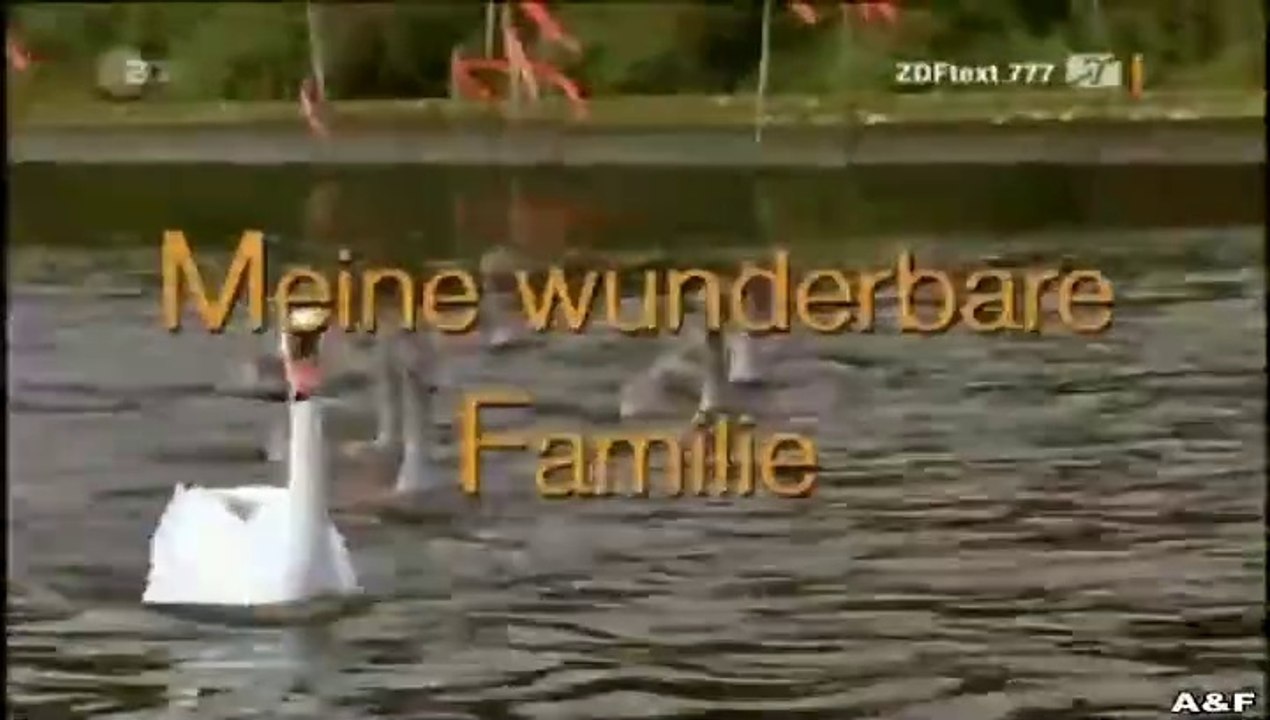 Meine wunderbare Familie -01- Die zweite Chance