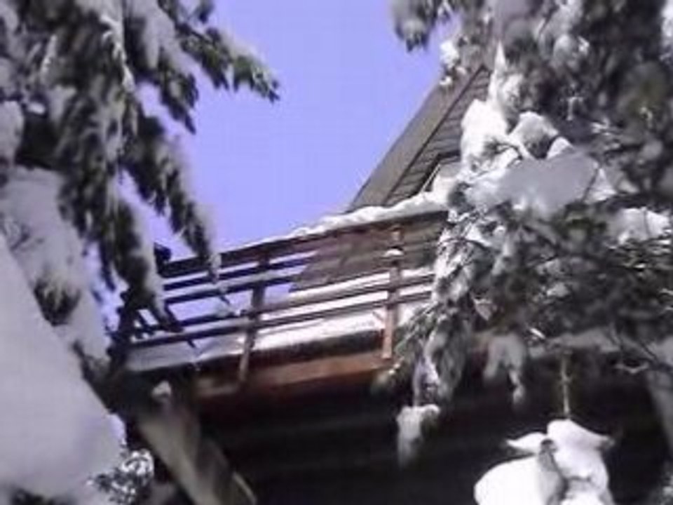 Chalet famille BROTEL