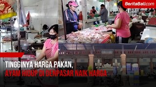 Tingginya Harga Pakan, Ayam Hidup di Denpasar Naik Harga