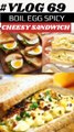 Instant Boiled egg spicy cheesy sandwich