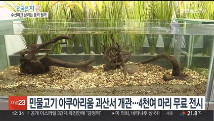 괴산 민물고기 아쿠아리움 개장…애물단지 수산파크 살리나
