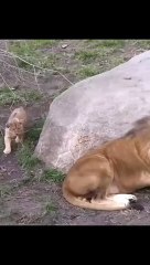 STAY ALERT STAY FOCUS.