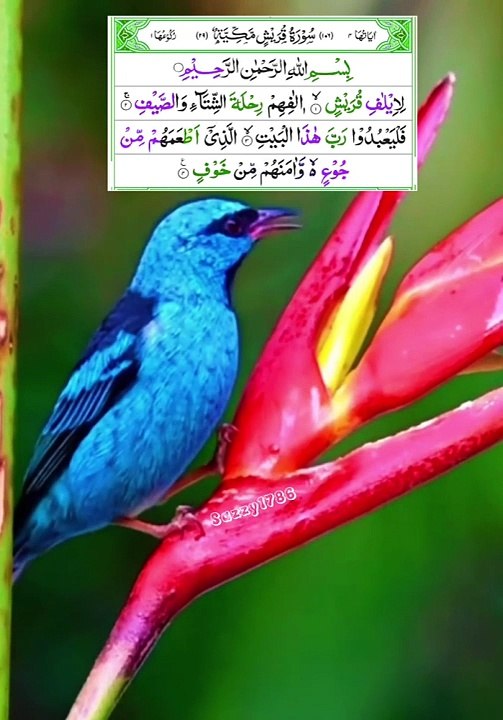 سورہ قریش کے فوائد