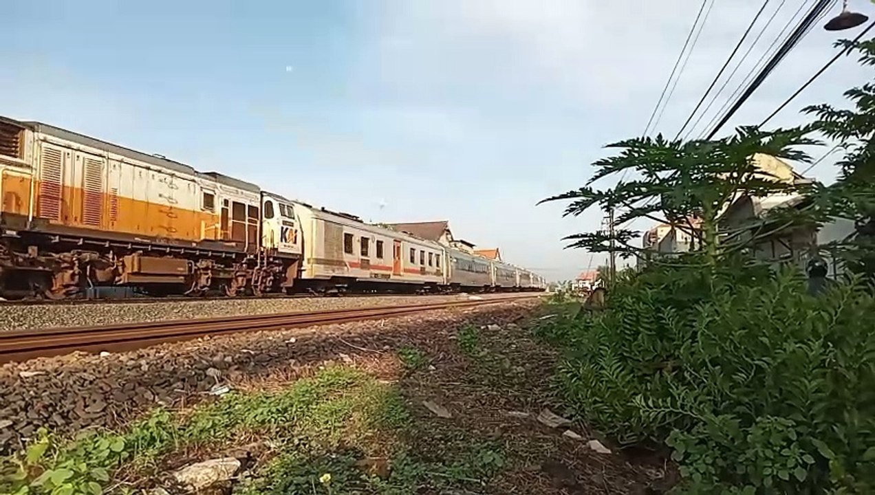 KA Mutiara Selatan & KA Pasundan