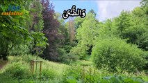 surah ad-duha | Soothing Recitation Of Surah Ad Dhuha With Urdu Translation | surah ad duha | سورہ الضحی
