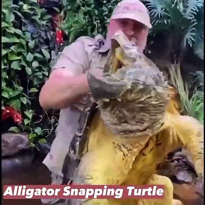 Fun time video
